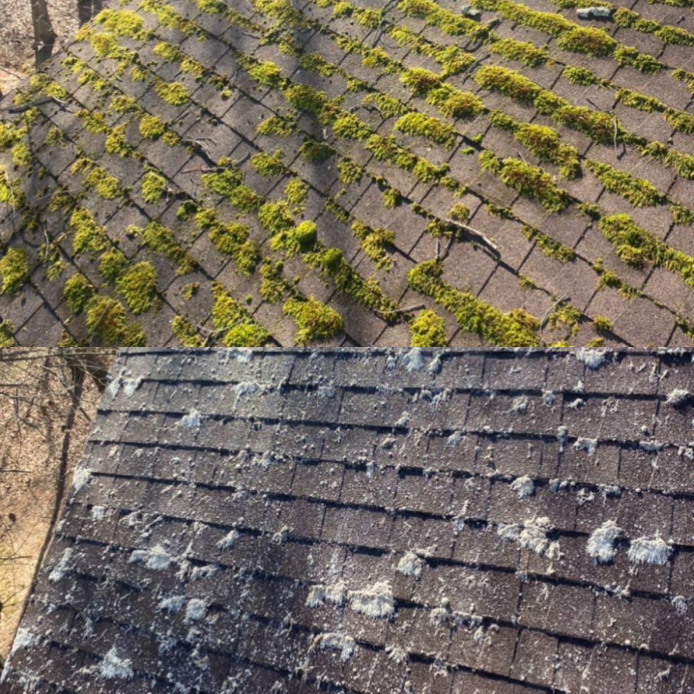 Roof Moss Cleaning in Roswell, GA